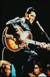 »Pop around the clock«: Elvis Presley