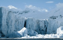 Aufgrund brechender Eisschelfe werden die Gletscher immer kleiner. Dadurch steigen die Meeresspiegel in den nächsten 100 Jahren vermutlich um sieben Meter