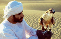 Der Falkner des Scheichs von Abu Dhabi. Szene aus »Sehnsuchtsrouten«